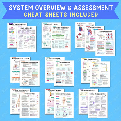 Nursing School Success Bundle