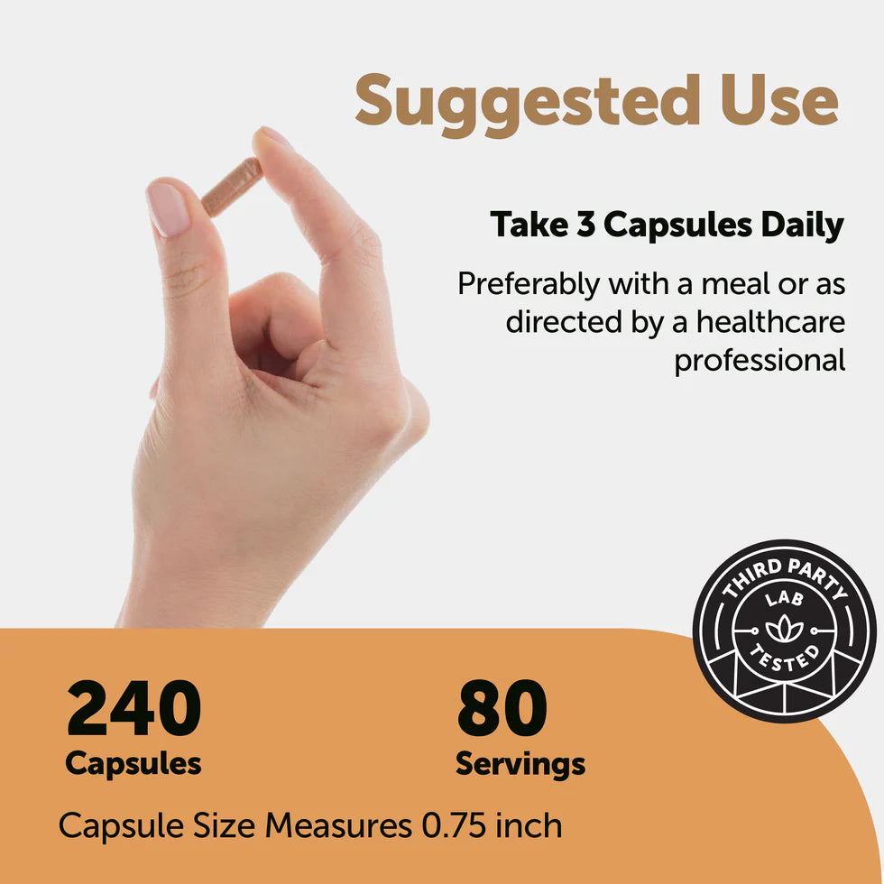 Nattokinase 10,000 FU — Clinical-Dose Cardiovascular Support
